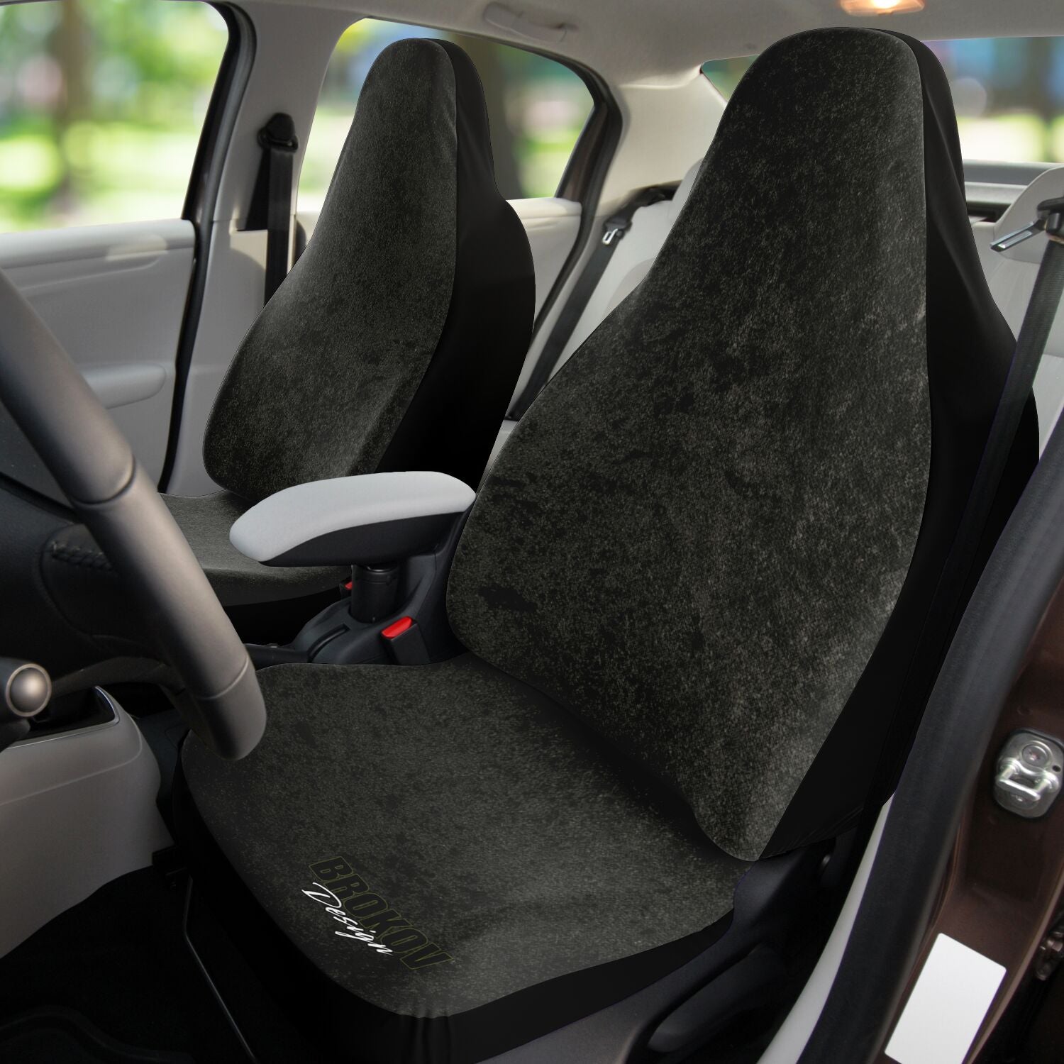BD Car Seat Cover - OO7